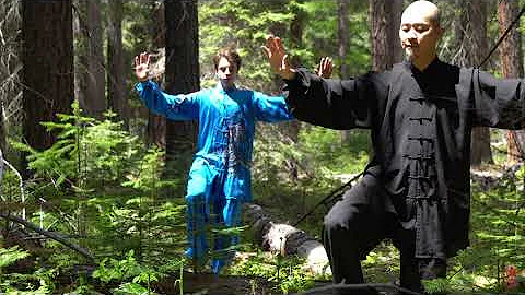 Tai Chi in Forest
