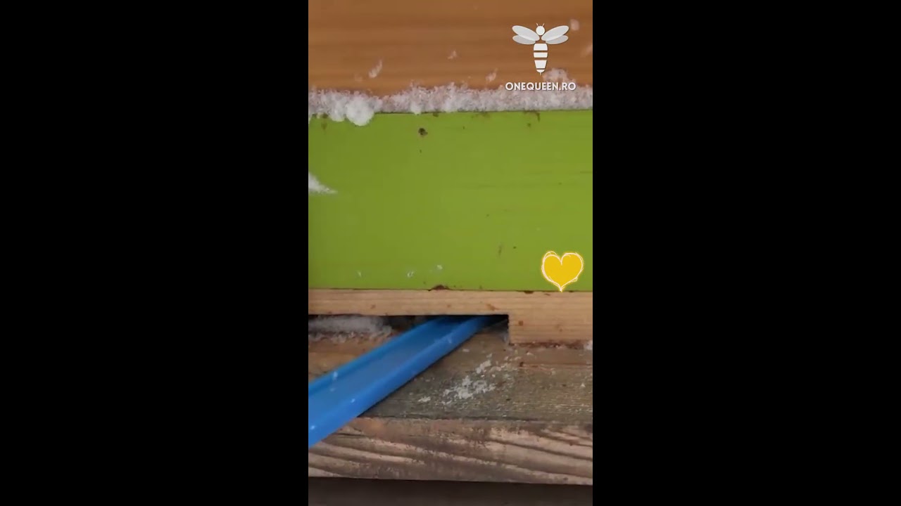 When Winter Hits With All Its Strength 