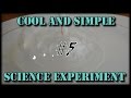 Cool and Simple Science Experiment-Part 5