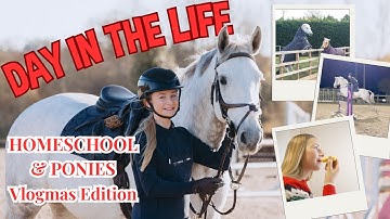 A DAY IN THE LIFE... WITH SPICY PONIES!