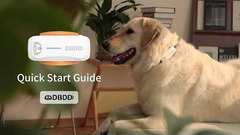 DBDD Dog tracker tutorial 🐶🐾#dog #gps tracker #petlover #pets