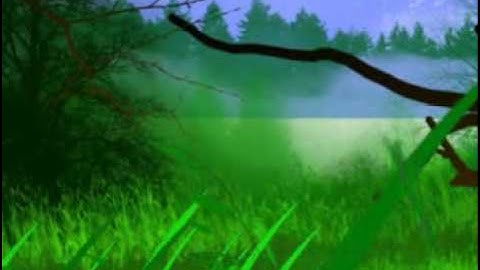 multiplane camera demonstration toonboom