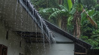 Where Time Forgot to Move | Rain on Roof Sounds for Sleeping
