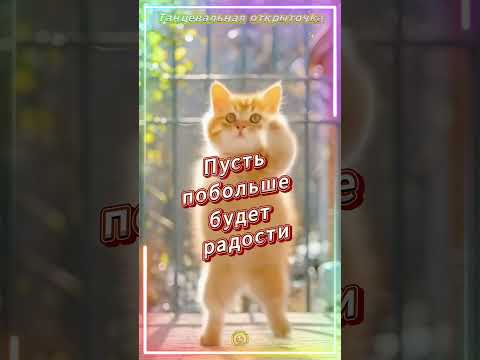 Чудесности и приятности ✨ танцевальная 💃 открыточка 🕺 для хорошего дня ✨ #лучшее #видео #shorts #топ