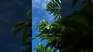 Yahanana Versi Reggae viralshorts