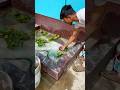 New Mini Pond Main Chordiya Sere MachlikoЁЯРЯЁЯШН 060 Hindi Fishing Vlog Best Fishing Video New Mini Pond Main Chordiya Sere MachlikoЁЯРЯЁЯШН 060 Hindi Fishing Vlog Best Fishing Video