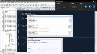 JDBC - Part 7 - Stock Manager Demo (Final Park - Deleting Data)