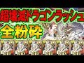 【パズドラ】もはやイルムゲー!!極醒イルムが超壊滅ドラゴンラッシュでぶっ壊れ!!粉砕・玉砕・大喝采!