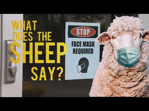 - Beyond The Veil What Does The Sheep Say? - Sheree Geo (MUSIC) (What Does The Fox Say Parody)