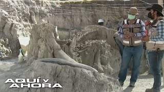 Máquinas excavadoras revelan un secreto guardado por 14 mil años en México