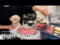 結婚したいけど犬との暮らしが幸せ過ぎる社会人独身男のナイトルーティン【トイプードル】