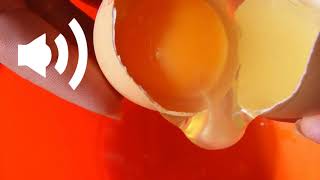 sound of cracking an egg