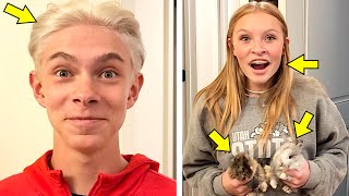 BLEACHED HAIR TURNS SILVER, BRACES, and BABY BUNNIES! by Dyches Fam 35,283 views 8 days ago 7 minutes, 18 seconds