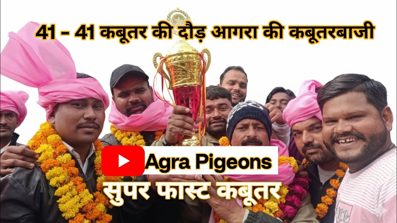 41 - 41 kabutar ki dod agra ki kabutarbazi | Agra Pigeons 