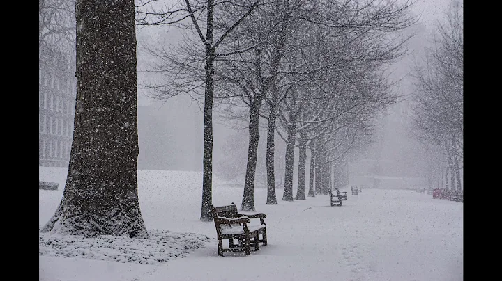 Jason McNeill - "Snow"