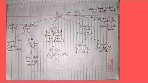 Dav Class-4 (Science) Ch-7 Food (Reading Explanation-Part 2)