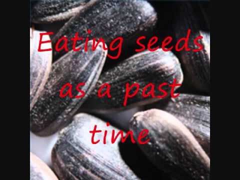 System of A Down-Toxcity with lyrics.wmv