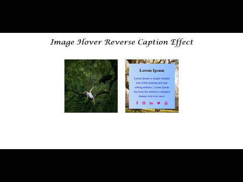 How to Make "Image Hover Reverse Caption Effect" and Also Responsive  Using Only HTML & CSS - SFC