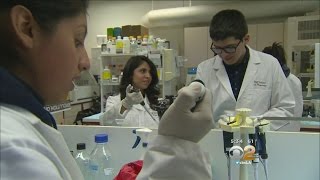 Leading Alzheimer's Disease Researcher Helping Youth Use Bright, Young Minds