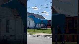 Big blue Horse Louisville, KY August 2025