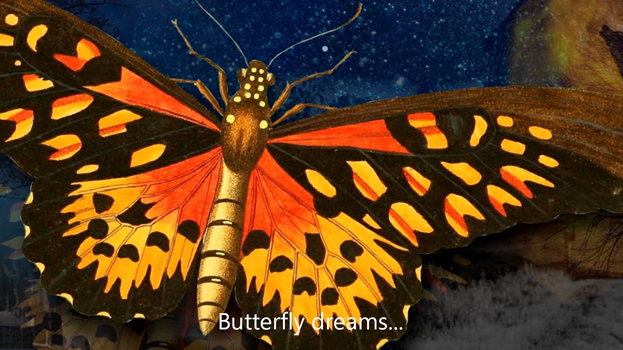 THE APARTE PROJECT "Butterfly Dreams – Cover Art Video Tour"