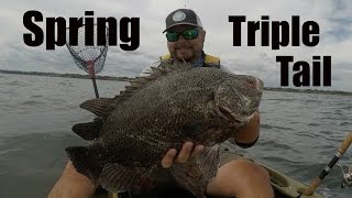 Kayak Fishing Stuart Florida Tripletail in Martin County