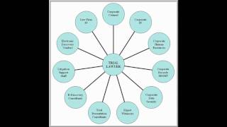Litigation Response Plan - 03 Litigation Response Team