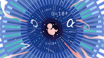 The Fine-Tuning of the Universe