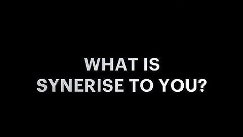 Synerise people about company