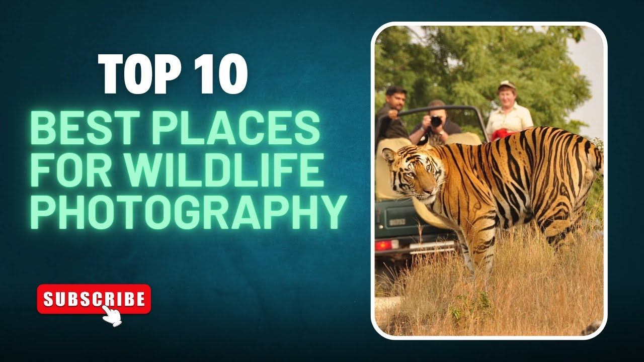 Top 10 Best Places for Wildlife Photography
