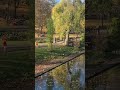 Autumn natural beauty relaxation music #relaxingmusic #backgroundmusic #studymusic