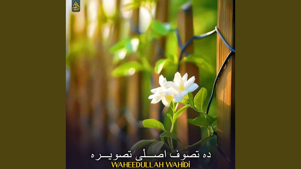 ده تصوف اصلی تصویره