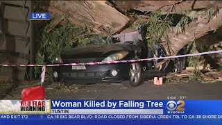 Fire Danger Remains High Tuesday As Santa Ana Winds Continue To Pummel Southland
