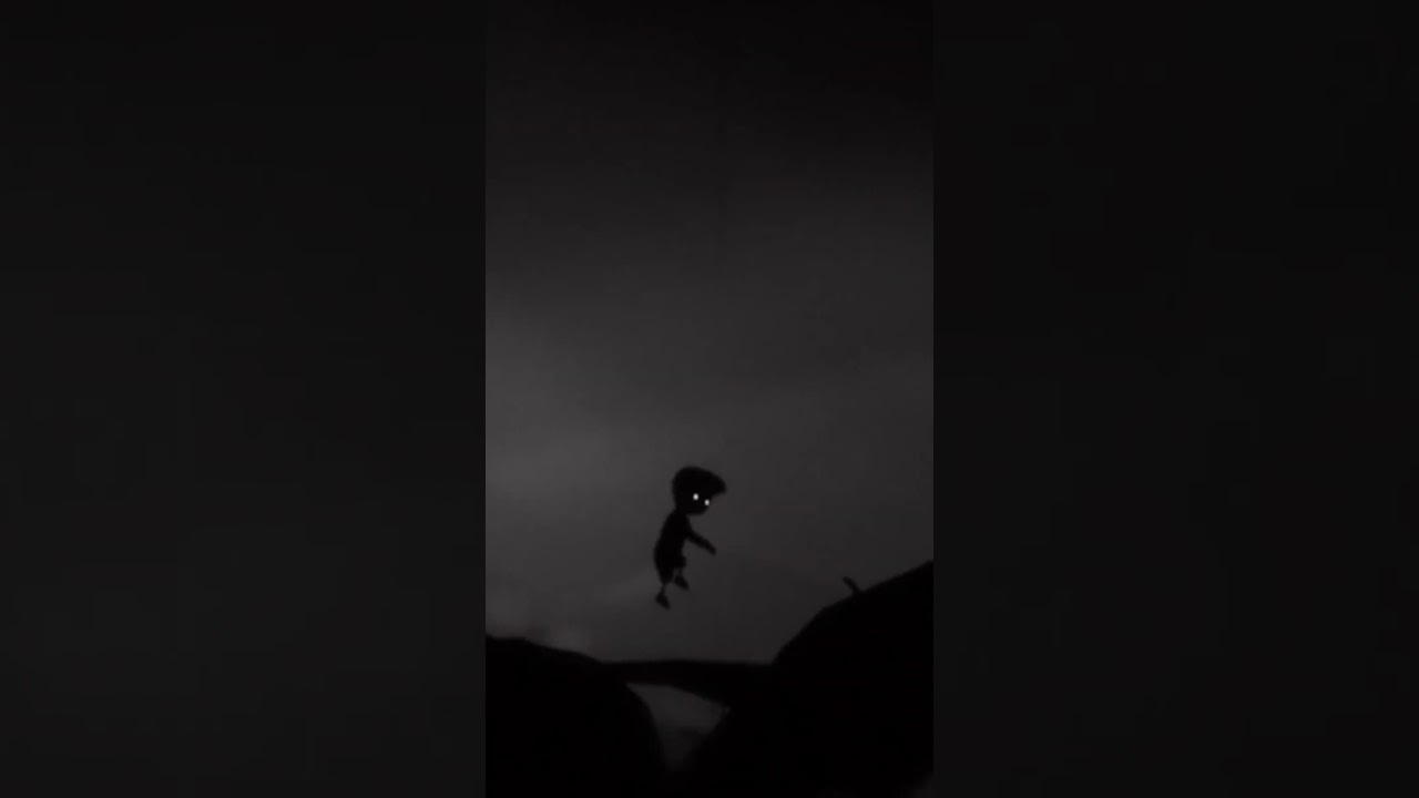 This Spider Almost Killed Us 