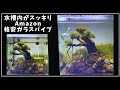 小型水槽内をスッキリ格安ガラスパイプ紹介　＃アクアリウム　＃水草レイアウト水槽