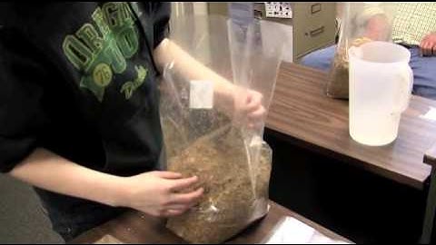 Substrate Sterelization