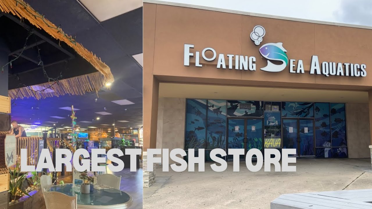 Visiting One Of The LARGEST PET STORE IN U S Vlog 3 YouTube visiting-one-of-the-largest-pet-store-in-u-s-vlog-3-youtube