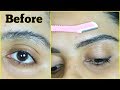 HOW I SHAVE MY EYEBROWS using Razor Blade | Tanutalks |