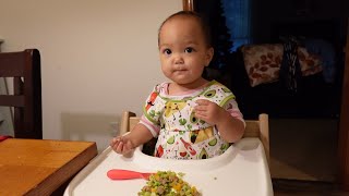 Nuture Life Toddler Food Review