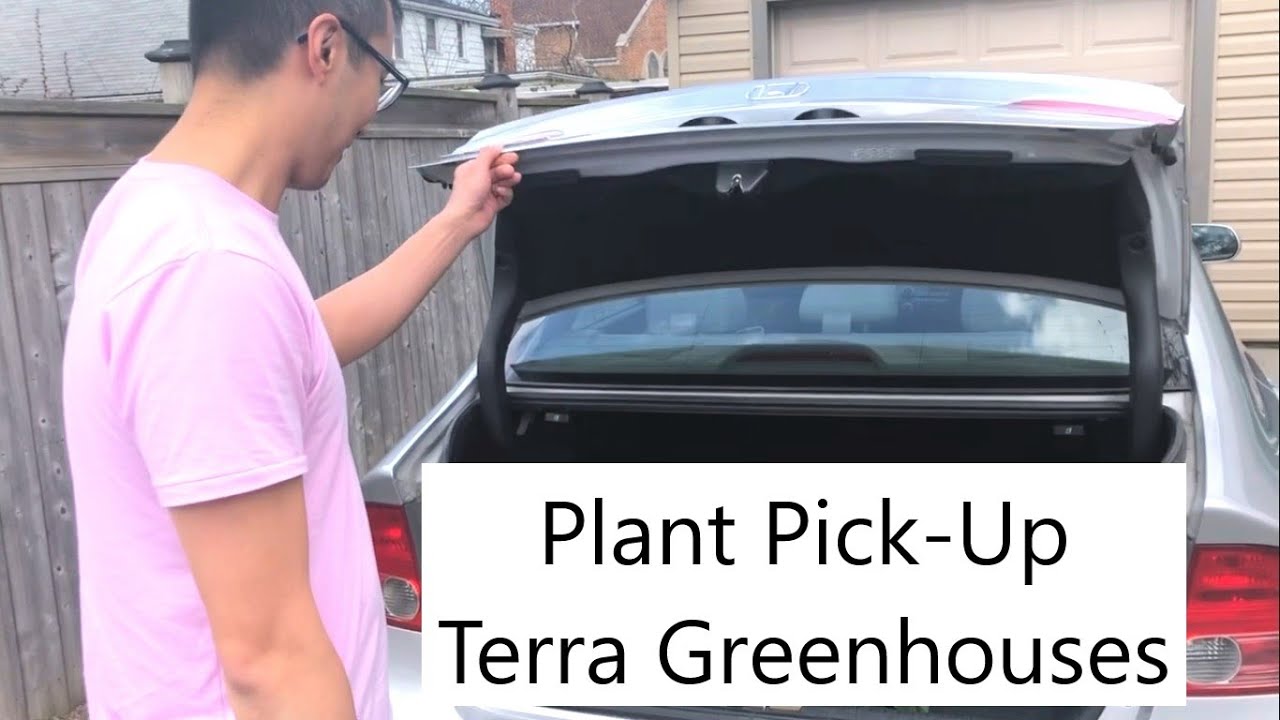Plant PickUp Terra Greenhouses (Burlington) YouTube