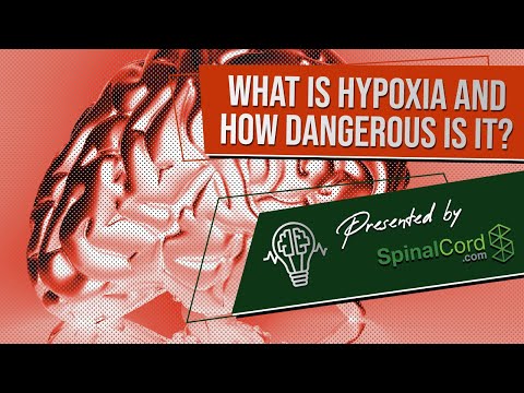 Video: Brain Hypoxia - Causes, Symptoms, Treatment