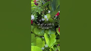 خالد الجليل |🌿 آيات من #سورة_يوسف #بصوت_القارئ #خالد_الجليل 🌿