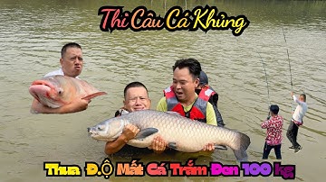 Giật Mình – Thi Câu Cá Khổng Lồ, Không Ngờ Thua Trắng – Mất Luôn Cá Trắm Đen 100 Kg Vào Tay Đối Thủ!
