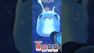 Popping the Phosphor Gordo! - Slime Rancher 2