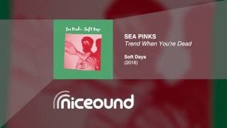 Miniatura del video "Sea Pinks - Trend When You're Dead [HQ audio + lyrics]"