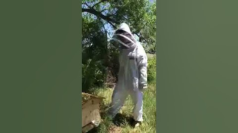 Figuring out how to separate the frames that are stuck together with comb