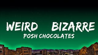 Posh Chocolates - Weird & Bizarre  | Music Mystique