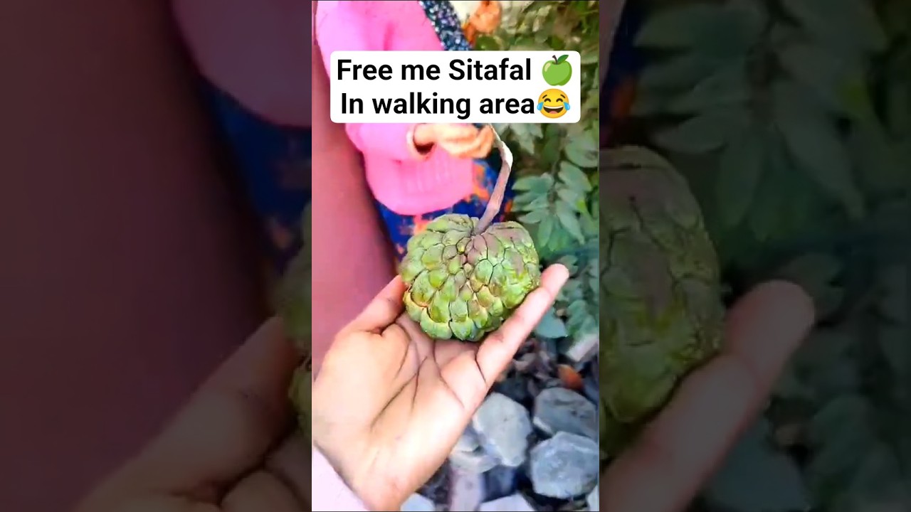 I Didn’t Expect to See This on a Tree 😳🌳l 