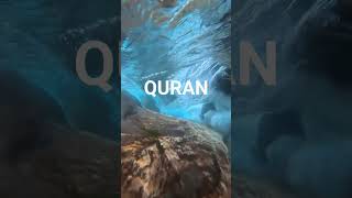 QURAN URDU TRANSLATION SURAH AL ISRA ayat @al_quran117