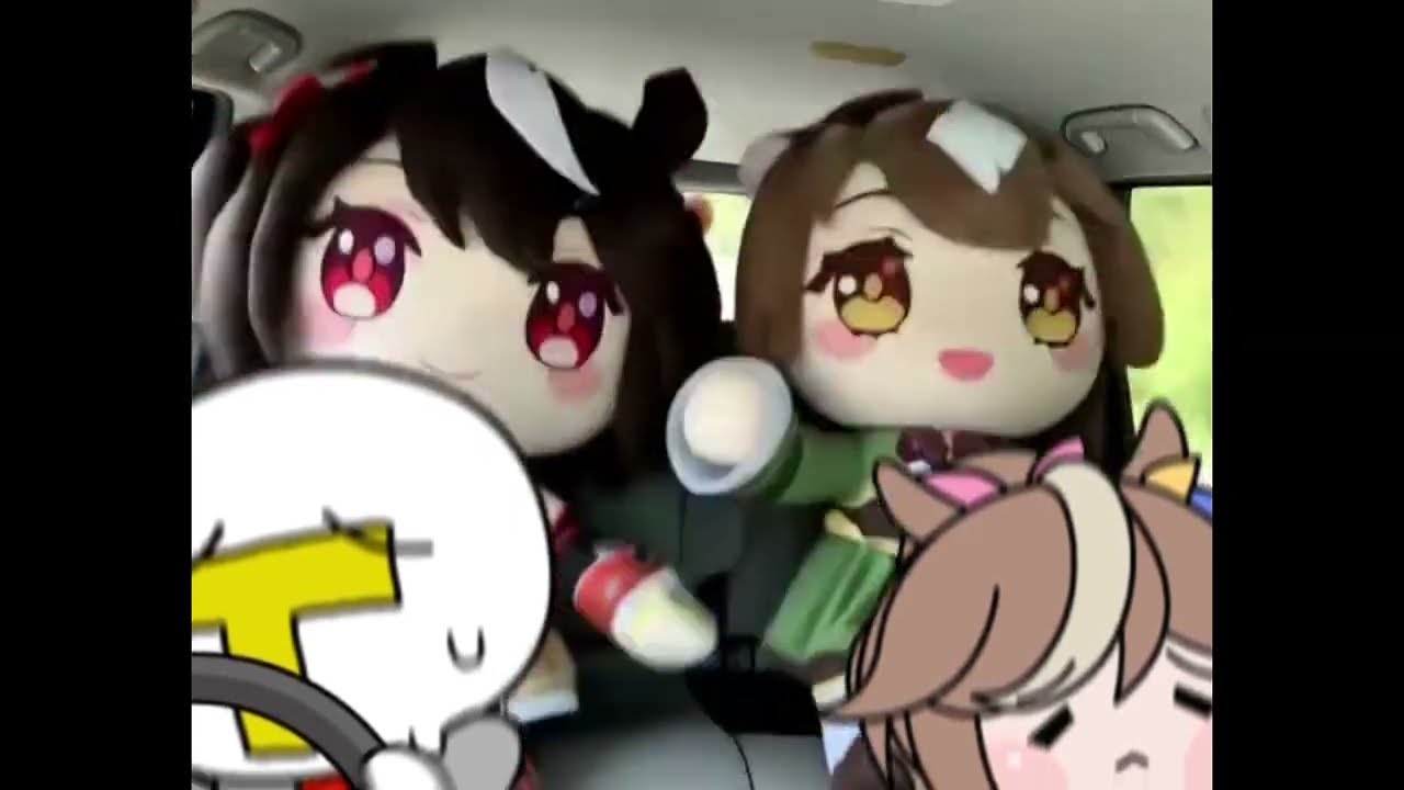 たぬき - YouTube